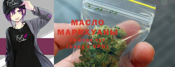 Альфа ПВП Бородино