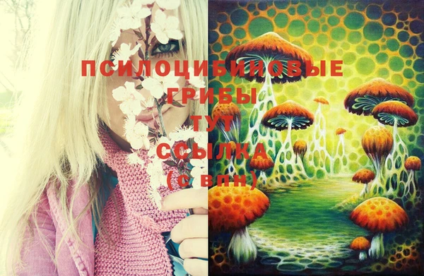синтетический гашиш Бронницы
