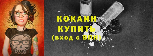 Альфа ПВП Бородино